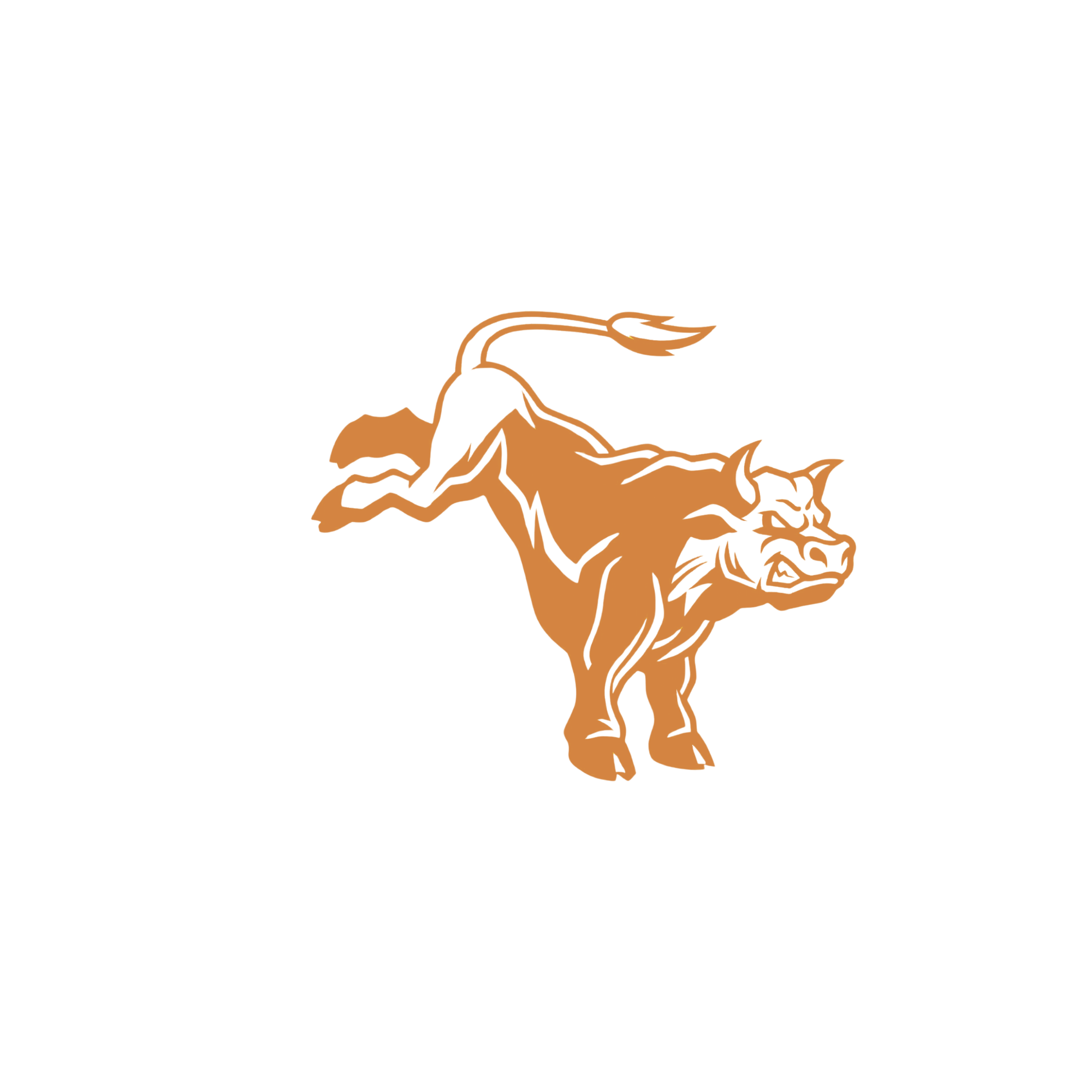 Dallas Bull Logo